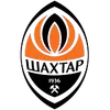 顿涅茨克矿工