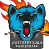 韦特
